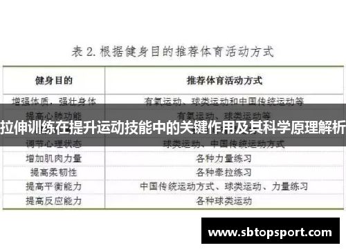 拉伸训练在提升运动技能中的关键作用及其科学原理解析